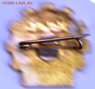 24 г. в 23.00 - 018