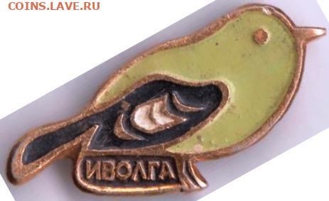 24 г. в 23.00 - 041