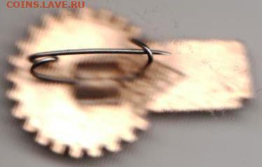 24 г. в 23.00 - 011