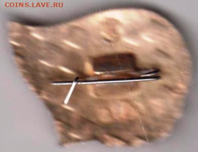 24 г. в 23.00 - 019