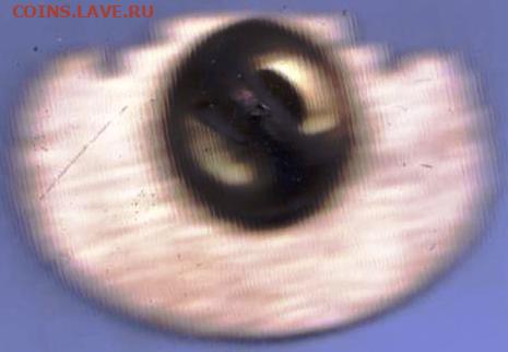 24 г. в 23.00 - 007