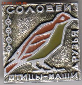 24 г. в 23. 00 - 032