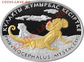 монета - 500_tenge_Kruglogolovka_b