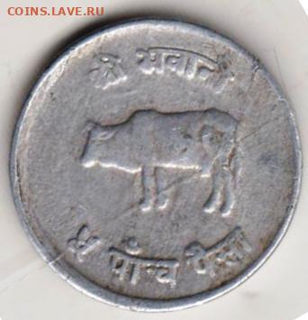 25 г в 23.00 - 004