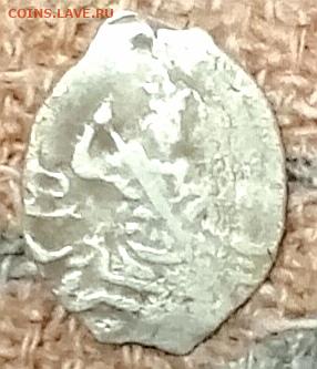 Чешуя определение - IMG_20251221_070546