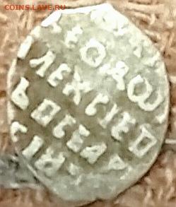 Чешуя определение - IMG_20251221_070410