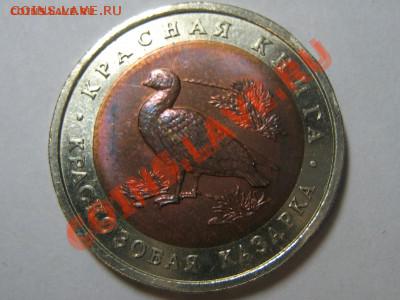10 рублей 1992 краснозобая казарка до 10.02.2012 20-00 - IMG_0583.JPG
