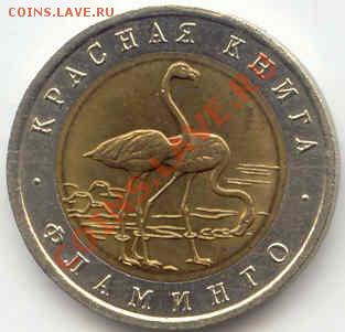 Красная книга 94 Фламинго до 07.03.12  21-00(мск) - 10Rub_Flamingo_1