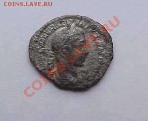 Помогите в определение. - DSCF0412.JPG