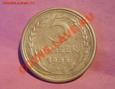 5 коп 1955 узлы Б - P3118260