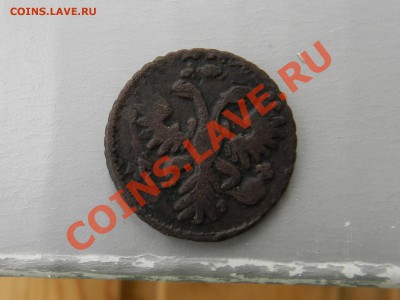 3 перечекана (денга ; полушка 1731)___до 24.03.12 - DSCN1541