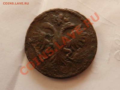 3 перечекана (денга ; полушка 1731)___до 24.03.12 - DSCN1618.JPG