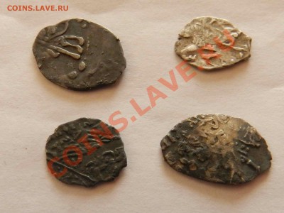4  чешуйки  _____  до 23.03.2012 - DSCN1610.JPG