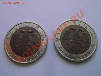 КК-93(аист, эублефар) на перепись - DSCF8677.JPG