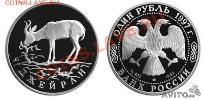 531-Dzhejran.html - 114356527 (1)