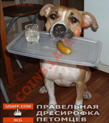 Ассоциация слов - 228021