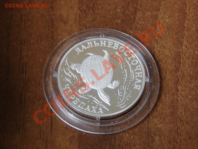 Кр.Книга Дальневосточная черепаха, 2003, до 25.03.2012 22:00 - DSC00010.JPG