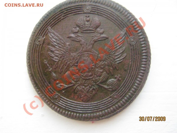 Красавец кольцевик 1807 ем. Оценка - IMG_0407
