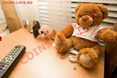 В какой стране мира так содержатся заключённые? - kamera_07
