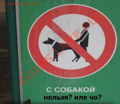 Вопросом на вопрос! - dog