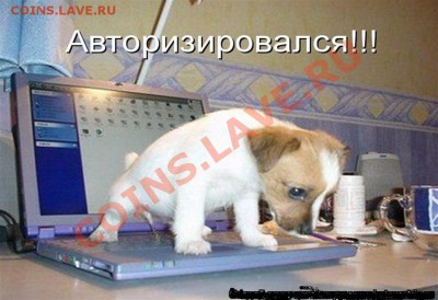 Вопросом на вопрос! - авт
