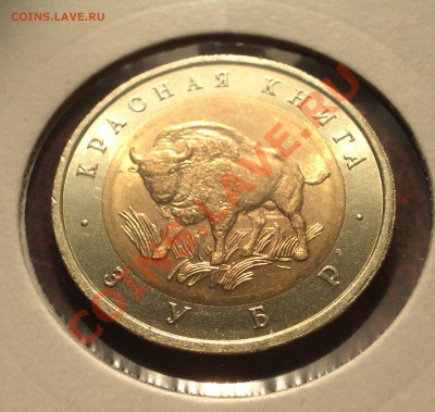 1994 - Красная книга - Зубр (ок. 29.03.12 в 21-30) - k11