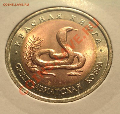 1992 - Красная книга - Кобра   (ок. 29.03.12 в 21-30) - k07