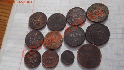 12 разных царских копеек - Изображение 1056