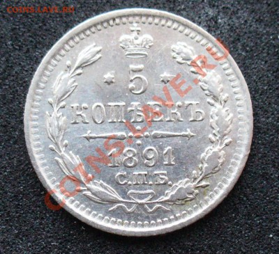 5 копеек 1891 года, до 29 03 12  22 - 00 мск - P1120888.JPG