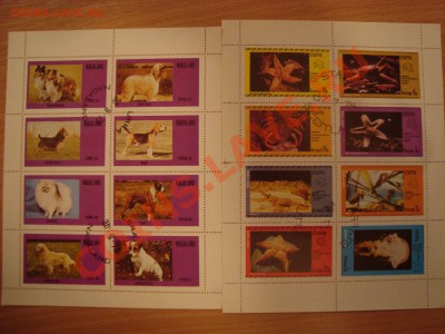 Марки (животные, рыбы) - 4 серии - 20 рублей - DSC03504.JPG