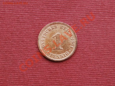 2012 - CSC_0760.JPG
