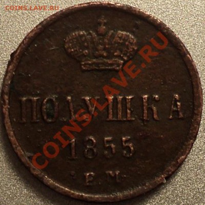 Полушка 1855 ЕМ. Н1.Предпродажная оценка! - DSC07320.JPG