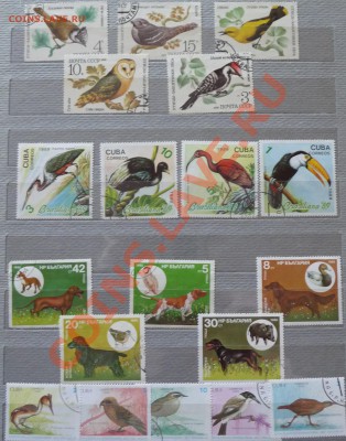 Обменяю марки на монеты или продам!!! - P1040360.JPG
