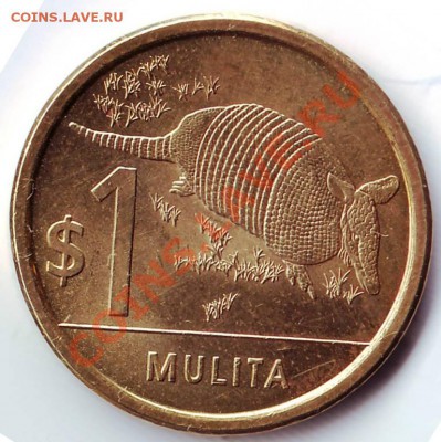 1 доллар 2011г. Уругвай до 02.04.12г. до 19.00 - IMAGE0010.JPG