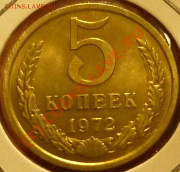 5к72, ой красавица - P1020412.JPG