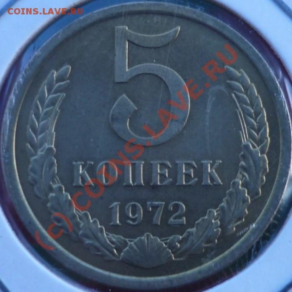 5к72, ой красавица - P1020411.JPG