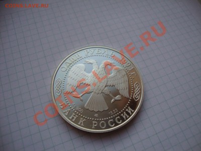 Нужен Гималайский медведь из Красной книги - medved-01