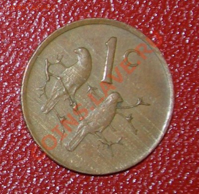 Птички. ЮАР 1ц.1988 до 22:00мск  04.04 - юаррр
