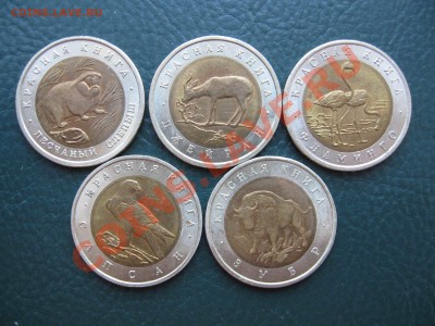 Красная книга 1994 - IMG_5807