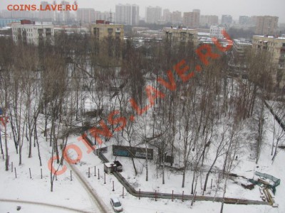 А у вас оживают после выборов? - 96926060