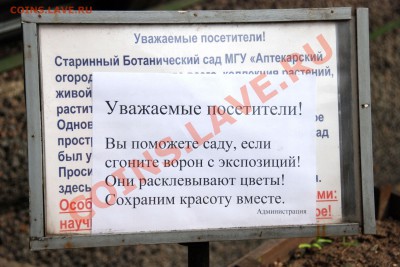 Фотоконкурс - Фотоконкурс_02