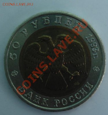 50 РУБ. 1993 Кавказский тетерев до 1.04. 22-00 - Аверс.JPG