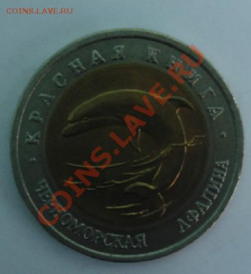 50 РУБ. 1993 Черноморская афалина до 1.04. 22-00 - Реверс.JPG