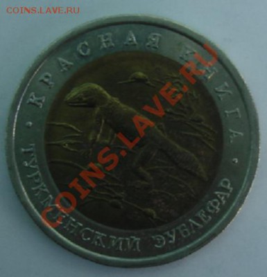 50 РУБ. 1993 Туркменский Зублефавр до 1.04. 22-00 - Реверс.JPG