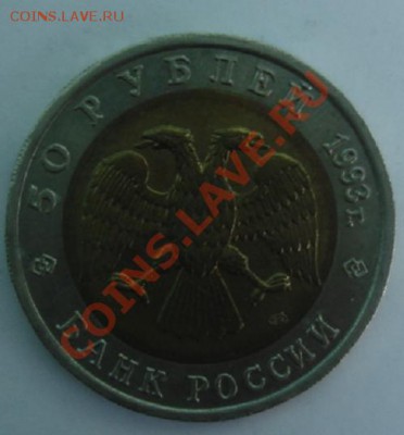 50 РУБ. 1993 Туркменский Зублефавр до 1.04. 22-00 - Аверс.JPG