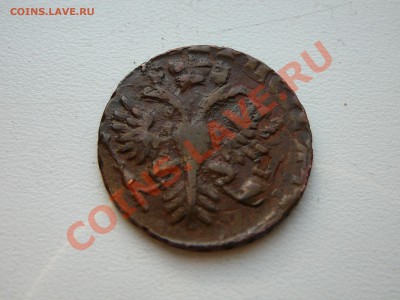 Денга 1731. Перечекан+двойной удар.Оценка. - P1120354.JPG
