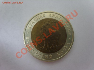 К.книга 1991г. Козел. до 02.04.12 до 22.00 - S8301922.JPG