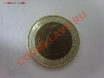 К.книга 1991г. Филин. до 02.04.12 до 22.00 - S8301924.JPG