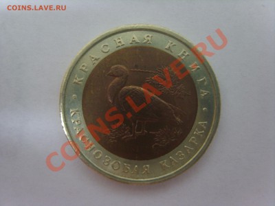К.книга. Казарка.1992г.до 02.04.12 до 22.00 - S8301929.JPG