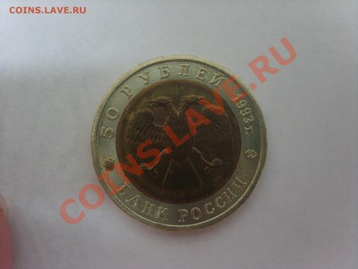 К.книга. Тетерев.1993г.до 02.04.12. до 22.00 - S8301934.JPG